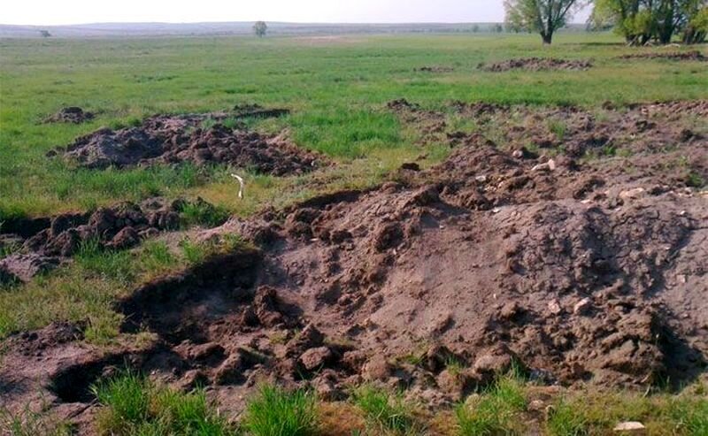 фото с сайта mdregion.ru