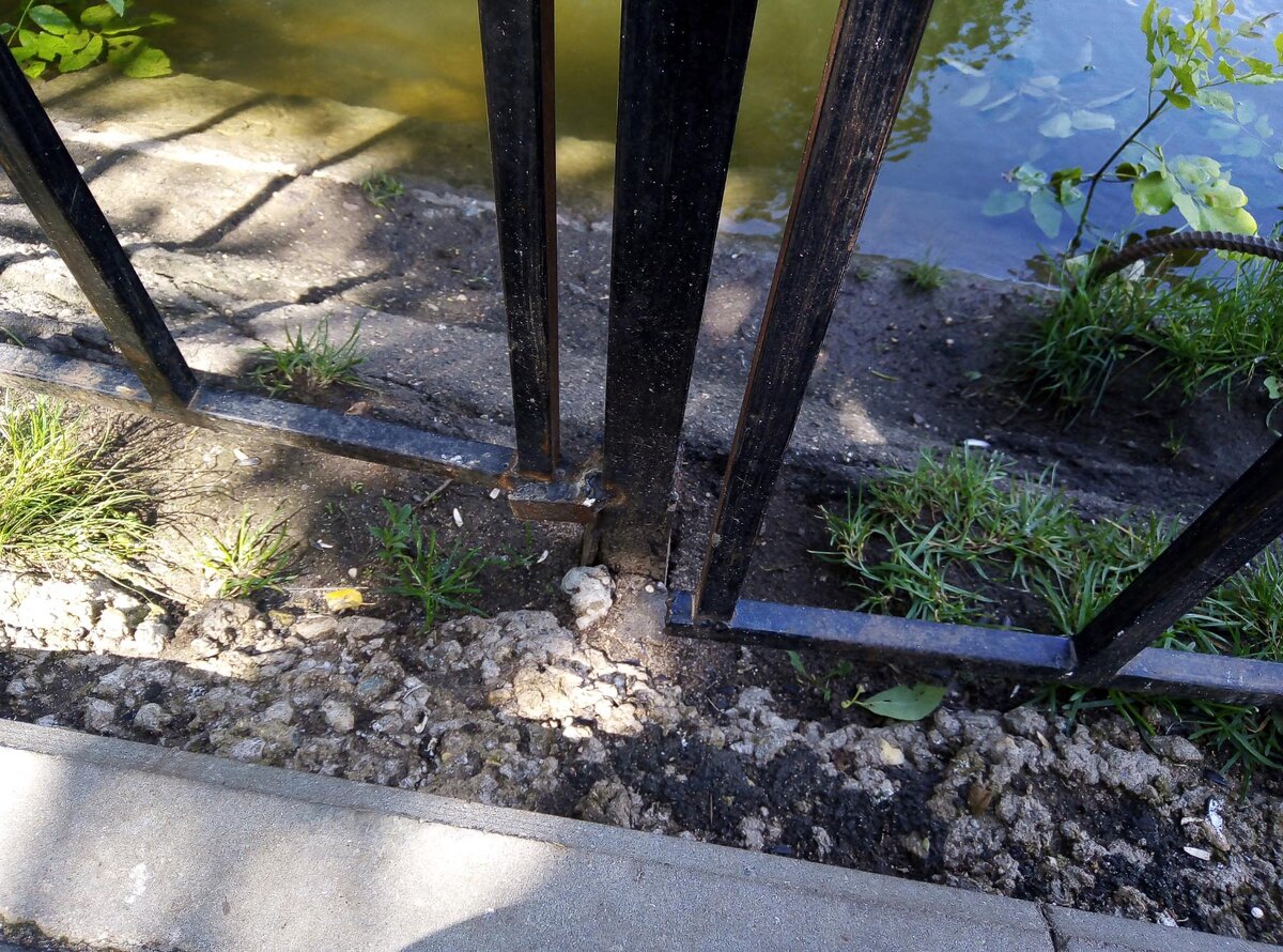 Ограда на утиных прудах в Переславле