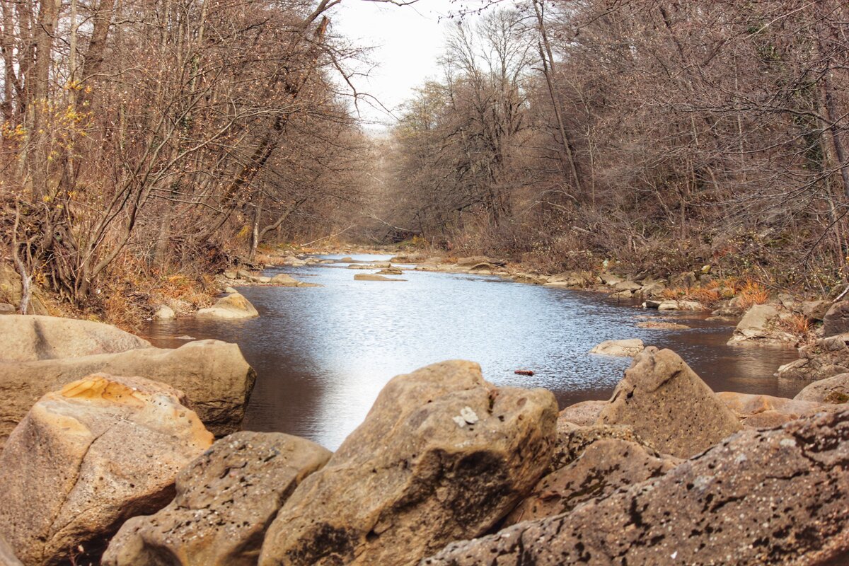 Осеннее фото