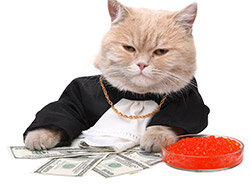  Многие животные трудятся не покладая лап на благо человека, и буквально «работают за еду», а некоторые — являются самыми богатыми животными, и ничем в этом мире не занимаются, кроме как в свое время радовали хозяина, и более чем обеспечены на 100 поколений вперед. У них есть все: автомобили с водителем, шикарные апартаменты, ужины в лучших ресторанах, лакомства в виде деликатесов, — просто потому, что им посчастливилось жить в этой семье, и влюбить в себя хозяев… В общем-то почти все как и в мире людей 