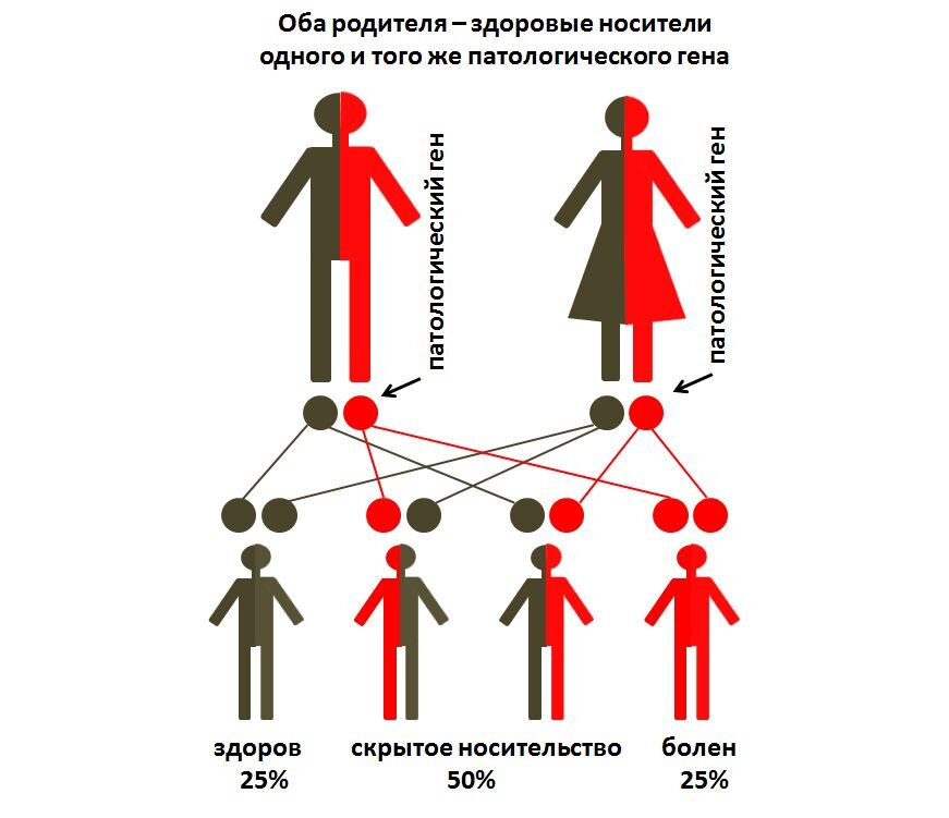 Нежелательность родственных браков презентация