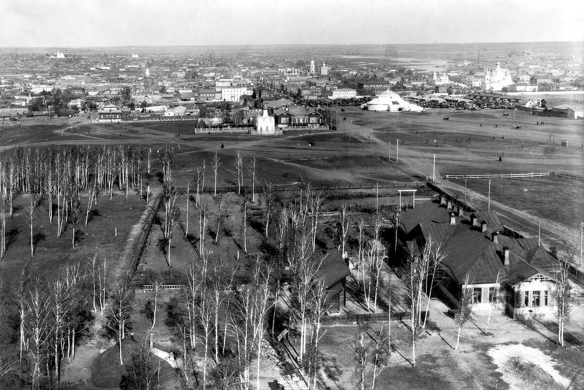 Почему нет деревьев на старых фотографиях