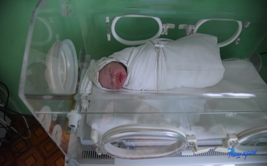 Фото из архива "НК" использовано в качестве иллюстрации