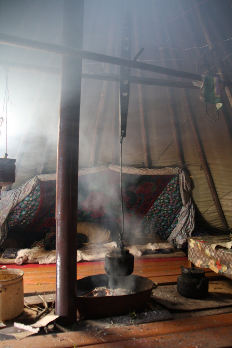 Летний чум оленеводов. Фото: Людила Липатова