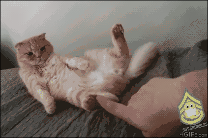 GIF картинка с сайта: cdn.fishki.net
