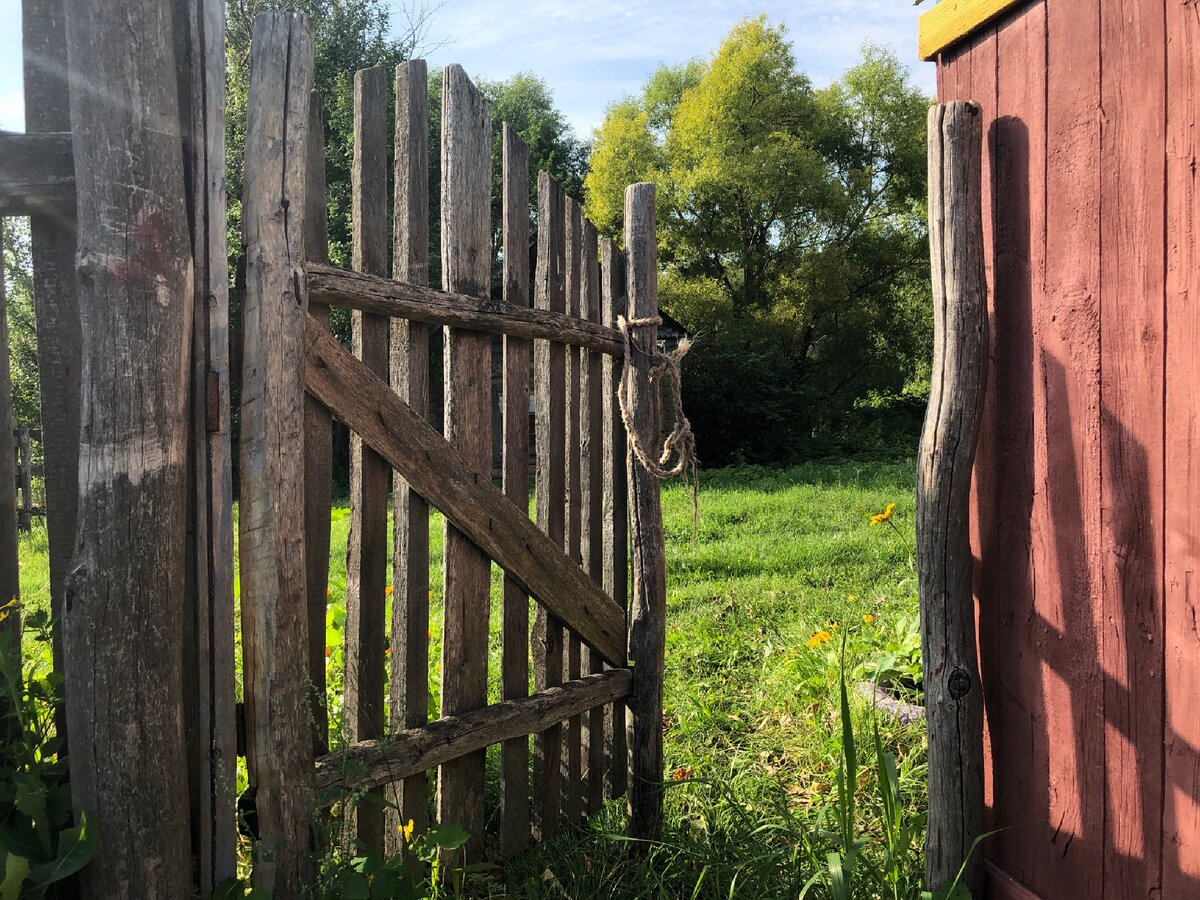 Заброшенная деревня 🏡 | Многодетная семья | Дзен