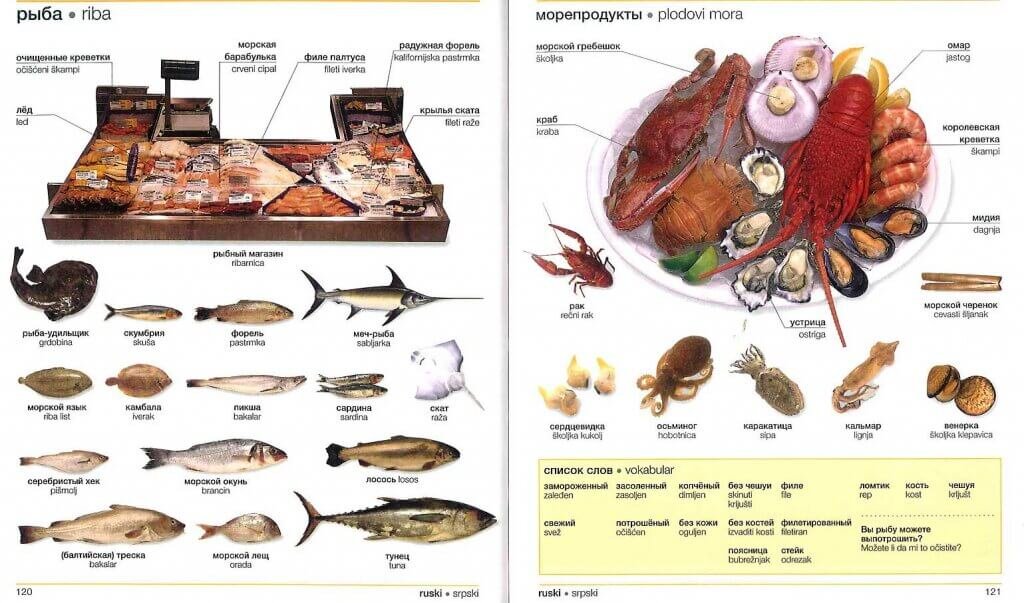 Морские продукты список фото и названия