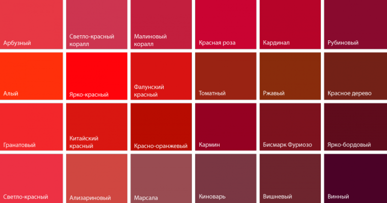 Фото: Яндекс Картинки