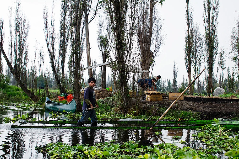 Путешествия, Карта Мира, Туризм, Интересные Факты, Мексика