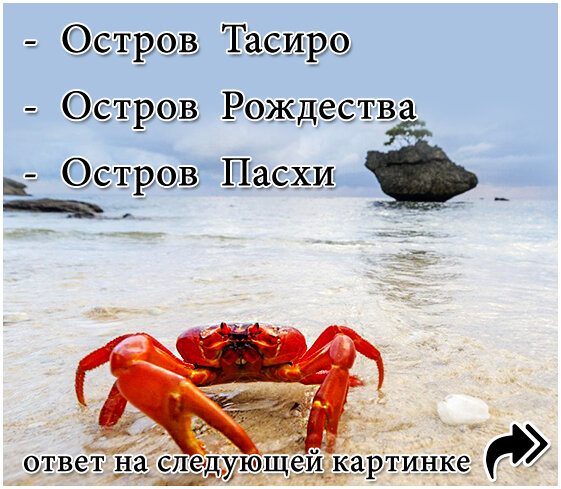 Вопрос №1. Проверьте свой ответ на следующей картинке...