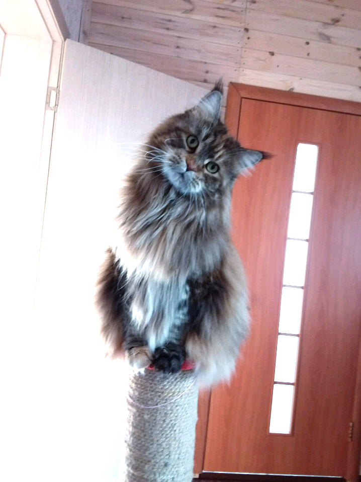 Не простая, но очень важная тема.