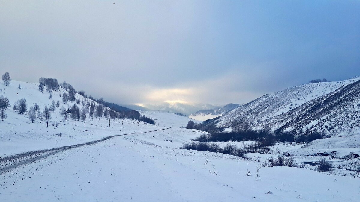 Погода тулата чарышский район