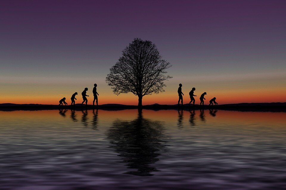 pixabay.com