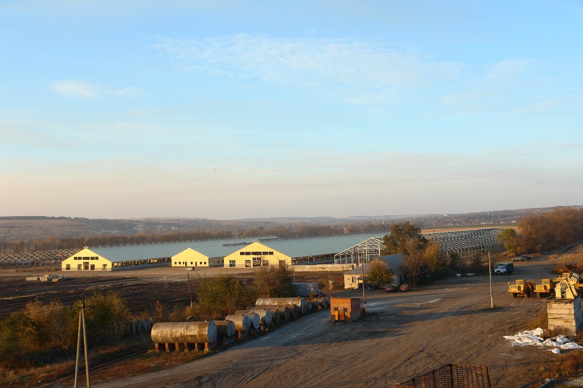 Фото из архива автора