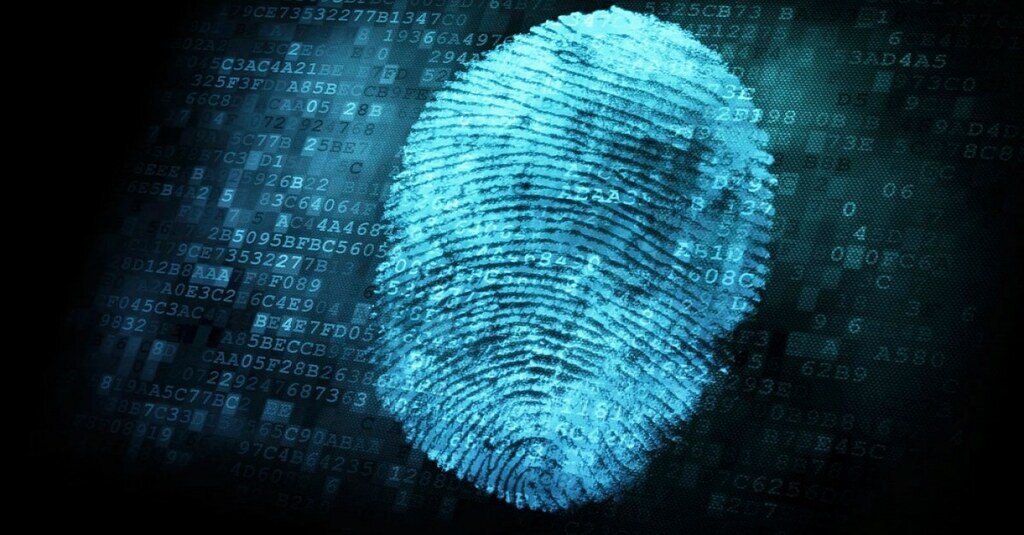 Картинка из интернета. Биометрия по узорам 10 пальцев рук.