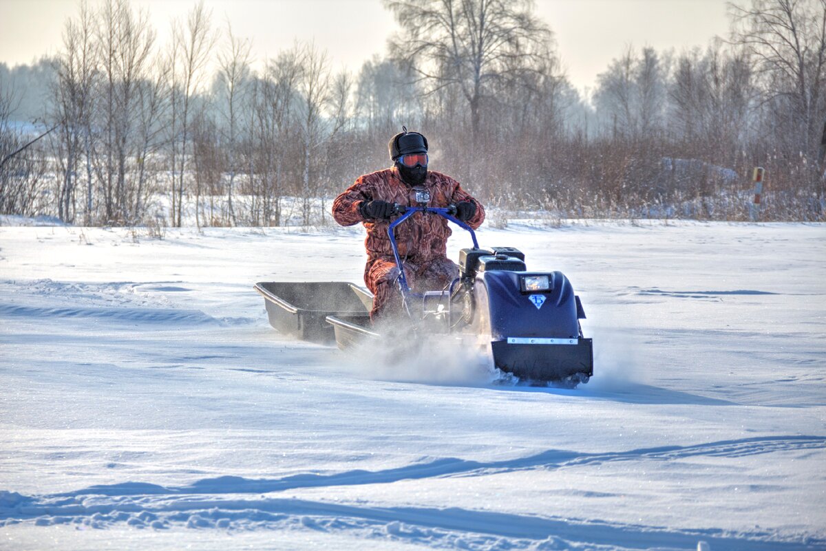 Автор канала едет на мотособаке