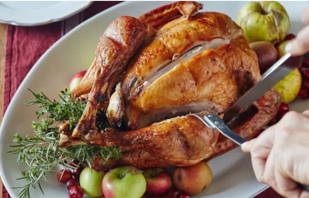 Индюшки принадлежат к обширному семейству Фазановые (Phasianidae). Родиной этой птицы является Северная и Южная Америка. Первоначально эти птицы были связаны с индейскими культурами коренного населения «Нового Света». Отсюда, как полагают, они и получили свое название. В естественных условиях индейки едят разнообразную пищу: желуди, семена сосны, клубни, луковицы, дикие ягоды, люцерну и клевер, жуков, кузнечиков и цикад. Столь обширный рацион во многом определяет высокую питательную ценность мяса этих птиц. И полезные свойства продукта.