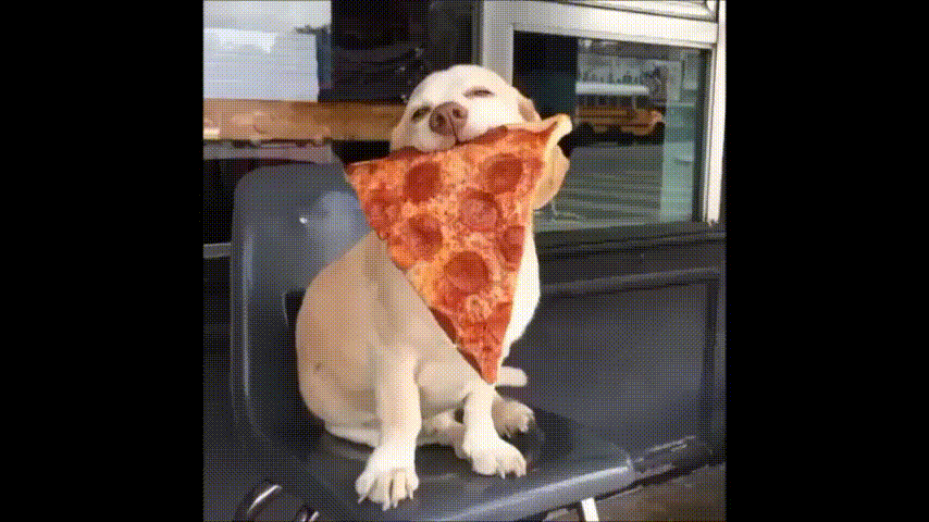 Сегодня, как всегда -диета