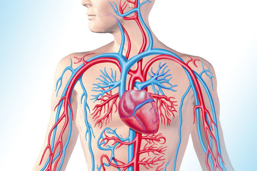 Фотография из интернета