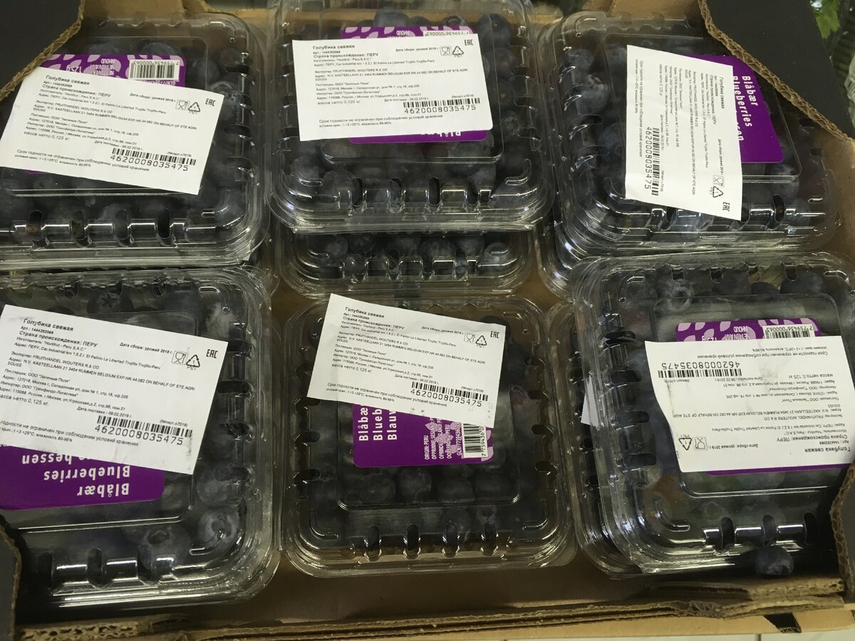 фото от 15 февраля