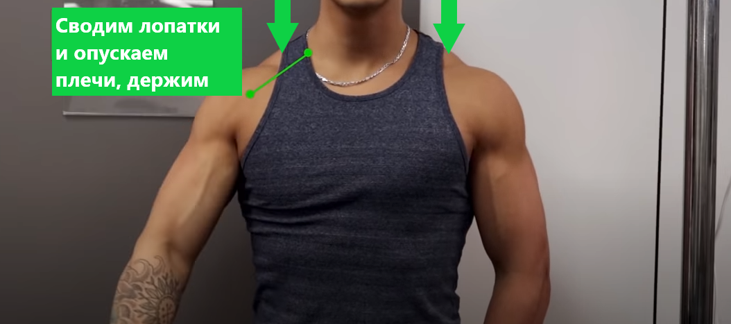 Боли дельтовидной мышцы плечевого сустава. Сведение лопаток вместе. Мышцы плечевого сустава и лопатки. Защемление между лопаткой и позвоночником. Стабилизация лопатки упражнения.