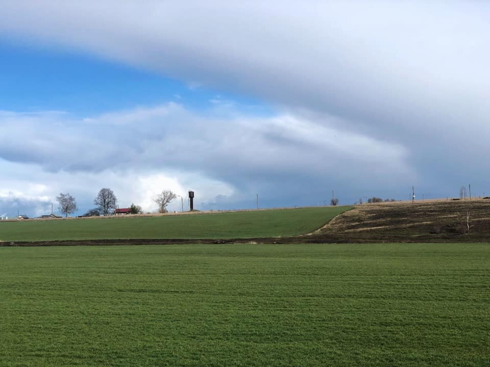 Фото Евсеенко Евгении