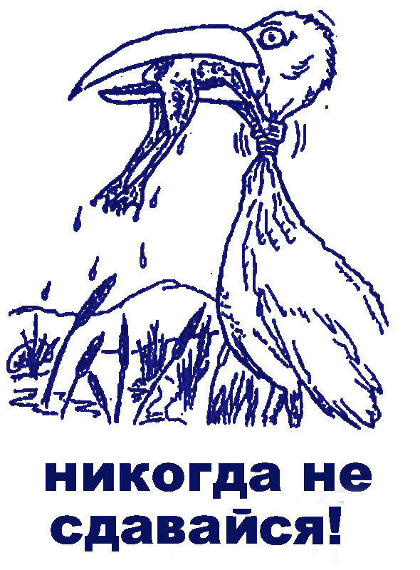 Экономический кризис предоставляет шанс избежать привлечения к субсидиарной ответственности