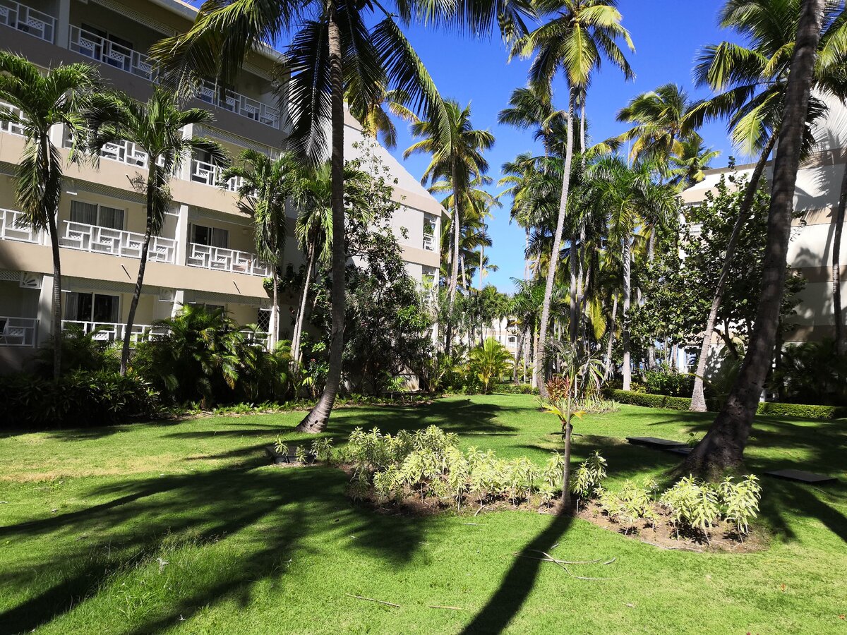 Территория типичного отеля в Доминикане