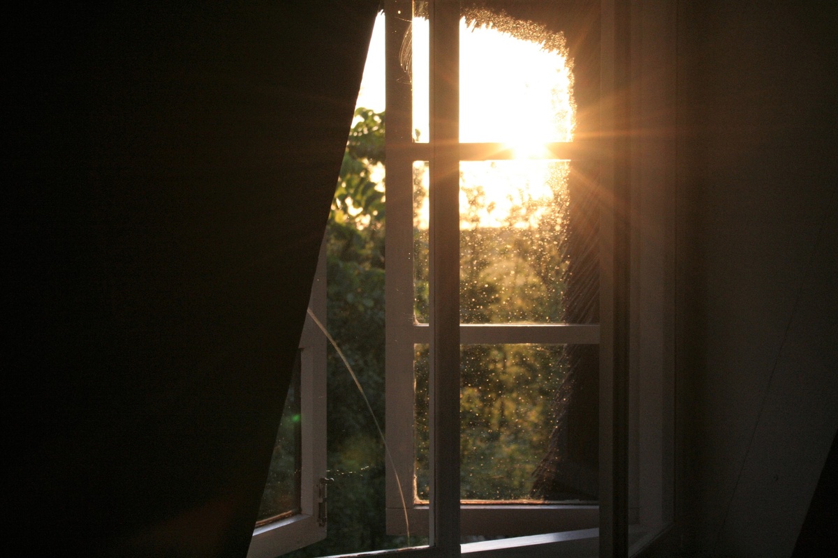 Для начала определитесь, почему вы хотите рано вставать