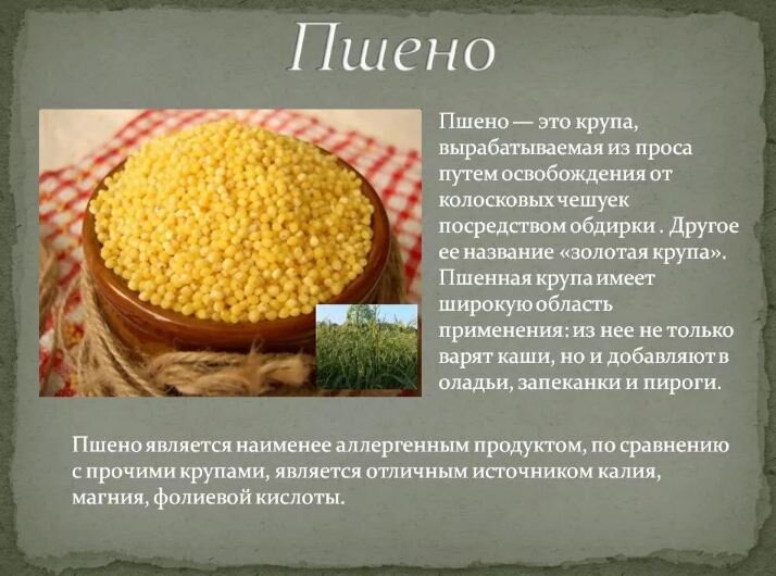 Пшено для здоровья: изучаем химический состав и ищем в чем его польза