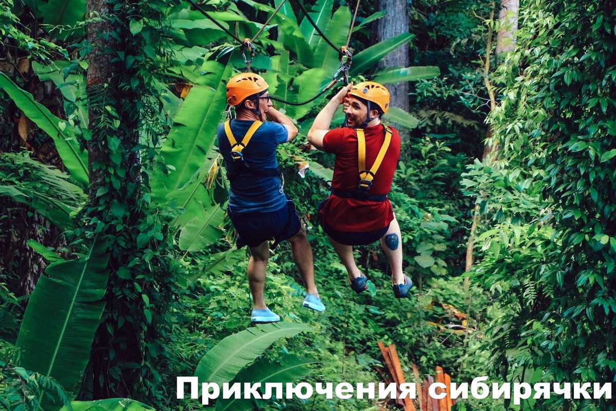 Фотографии с открытых источников