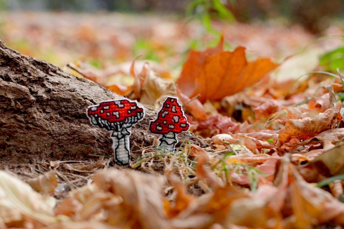 Фото автора.