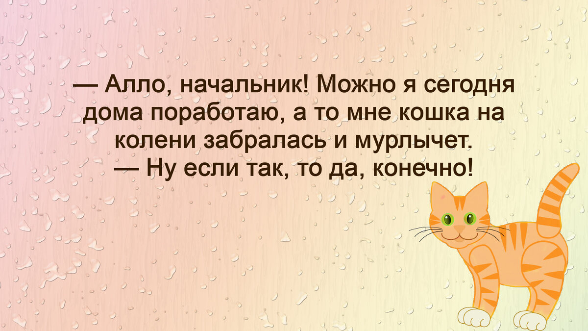 Анекдоты Про Кошек Смешные