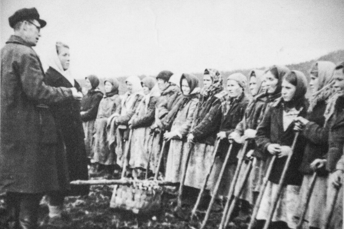 Картинка взята с интернета из свободного доступа.