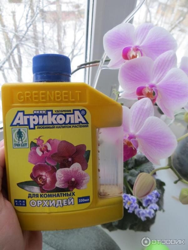 Агрикола для орхидей (фото из Яндекс.картинки)