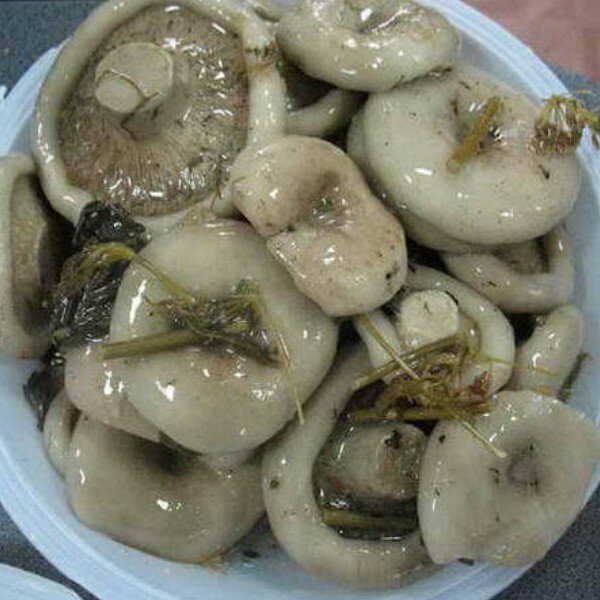 Красотища и вкуснотища