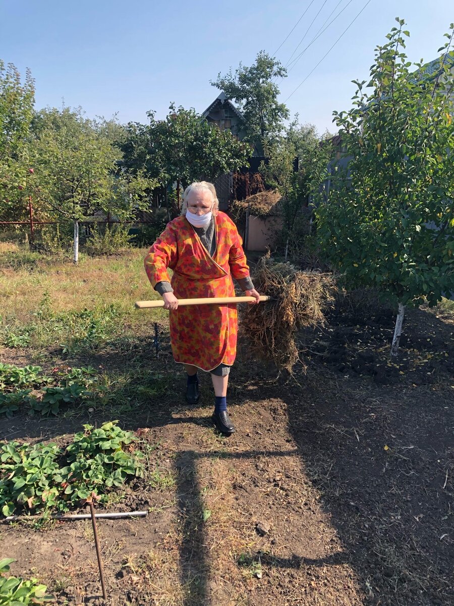 Бабушка работает на даче