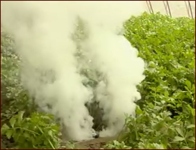 Окуривание дымом