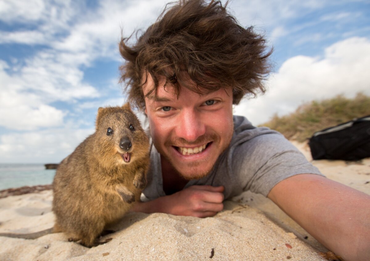 Фото Allan Dixon