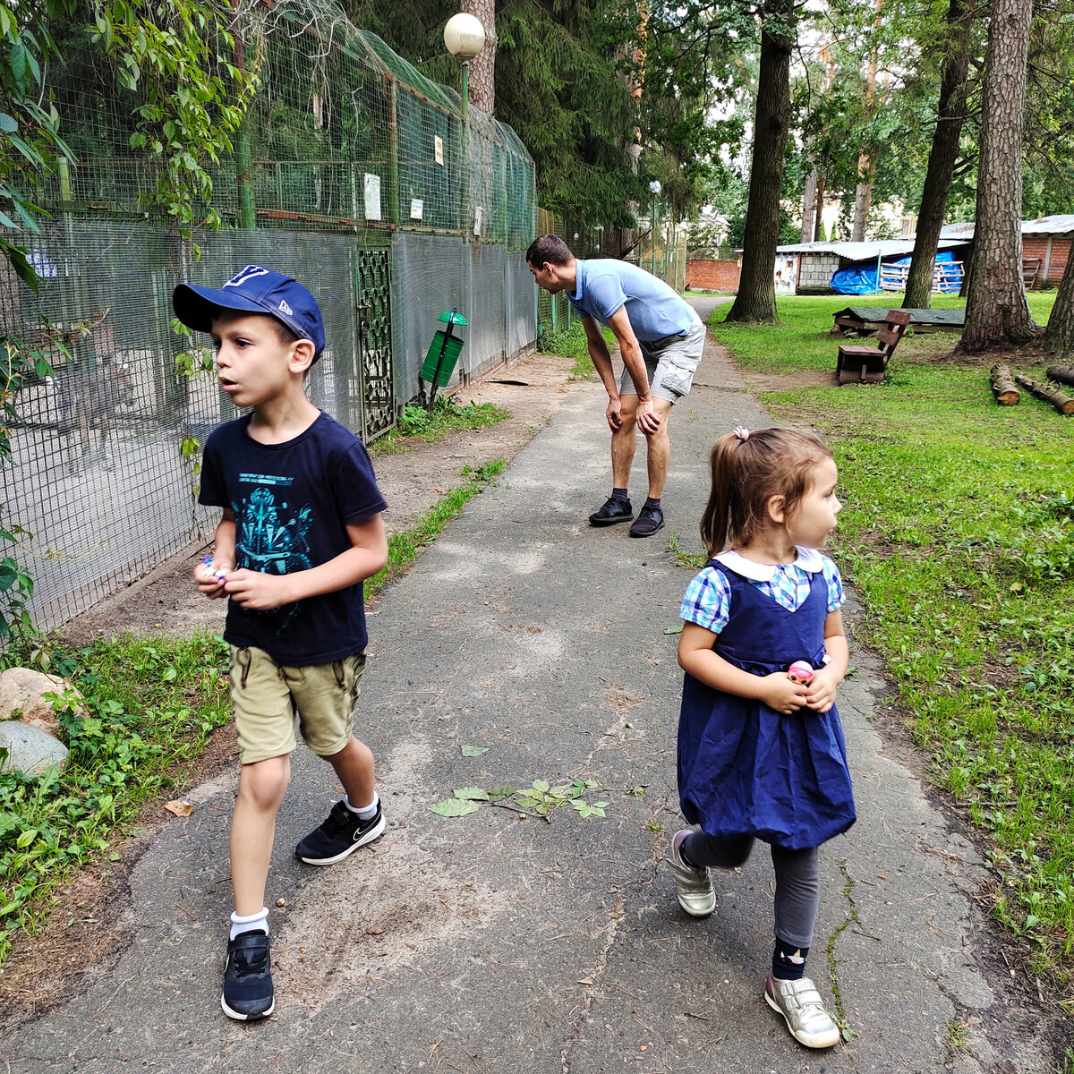 Мои юные исследователи