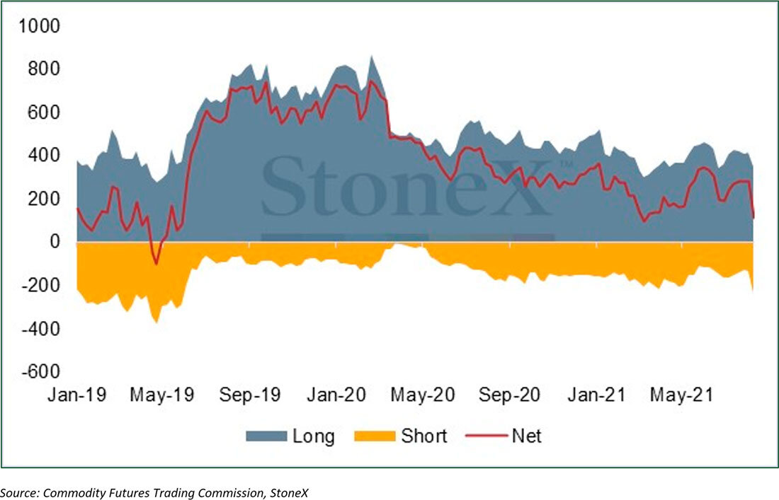 Позиции по золоту категории Управляемые деньги на COMEX / график © StoneX