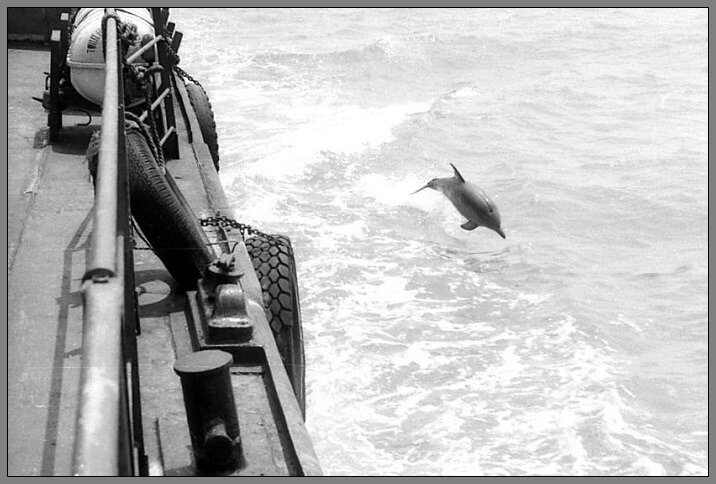 Фото героя рассказа.