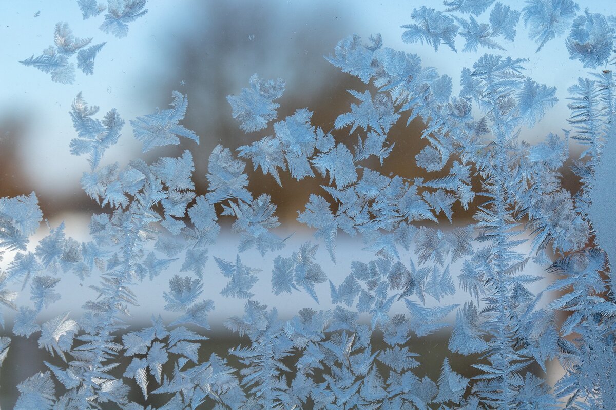 Фото: Andrey Grachev