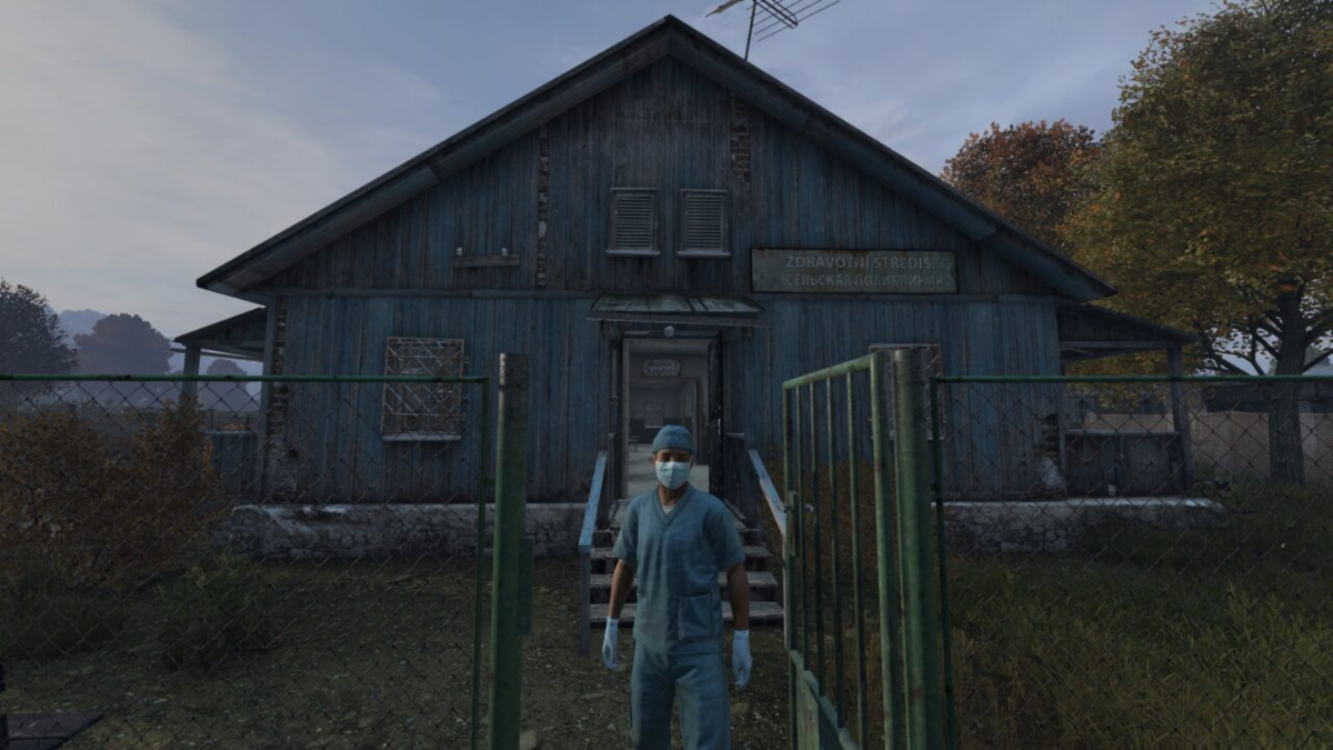 Взято с https://mmogamesbase.ru/articles/bolezni-i-lechenie-v-dayz.html 