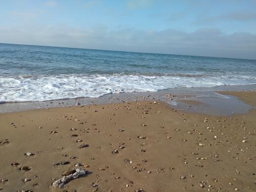 Декабрь 2020года Евпатория. Фото из личного архива