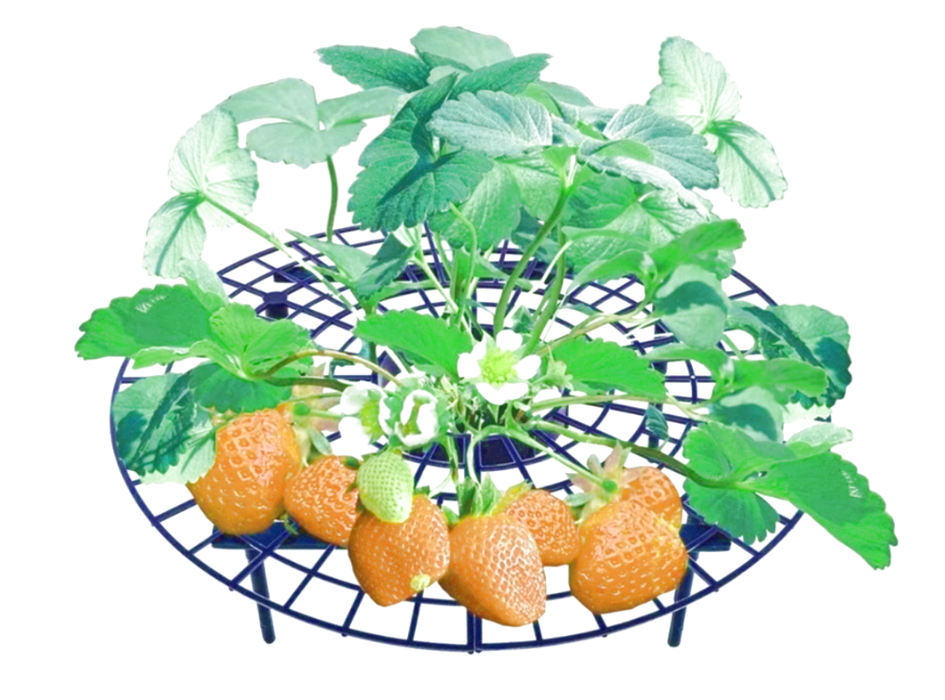 Стойка-упор для клубники