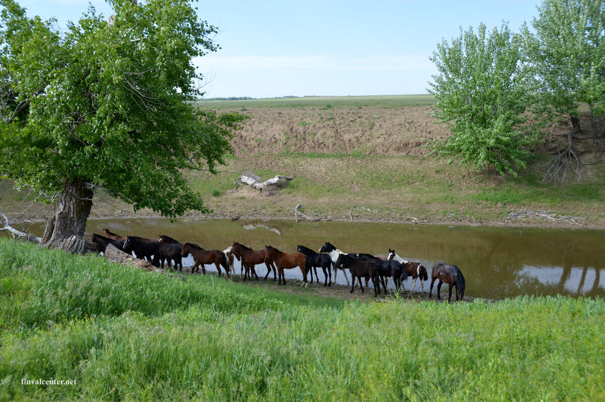 Казахстан. Река Урал