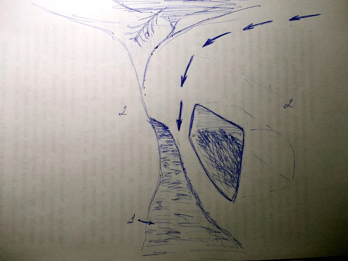 1. Ручей. 2. Берега. Рисунок автора.