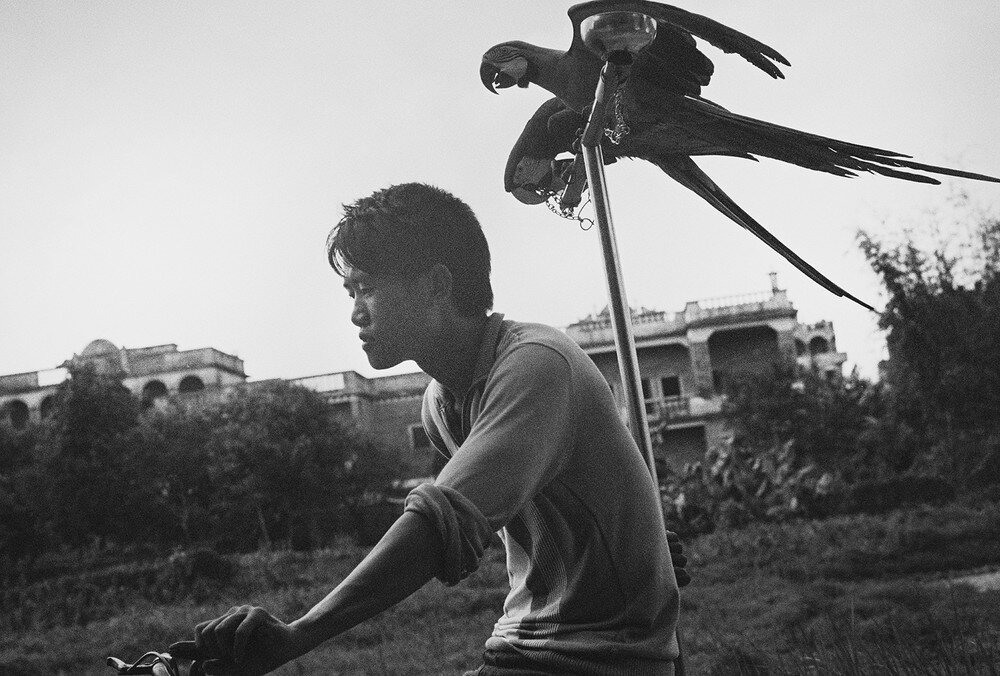 © 立l陈 Li Chen /  LensCulture Art Photography Awards 2022