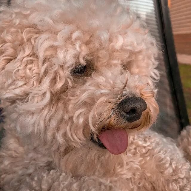 Источник фото: «Яндекс картинки»